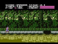 une photo d'Ã©cran de Shadow Warriors sur Nintendo Nes